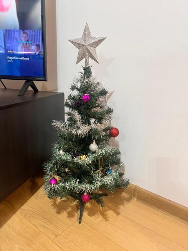 einen Weihnachtsbaum im Wohnzimmer mit TV in der Unterkunft St. Anastasia Apartments in Bansko