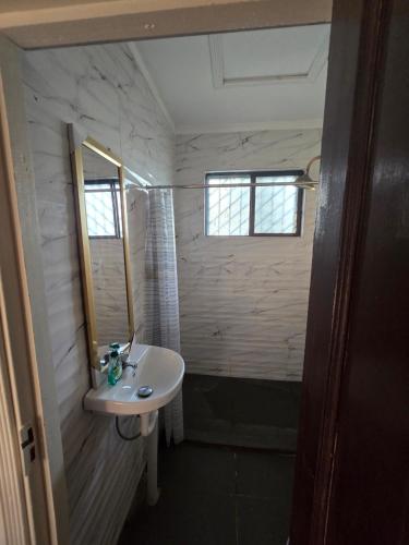 ein Badezimmer mit Waschbecken und Spiegel in der Unterkunft Bula Lodge Guest House in Nadi