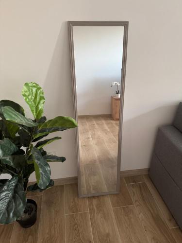 een spiegel in een kamer met een plant en een bank bij Przy PKP in Biała Podlaska