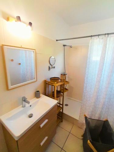 a bathroom with a sink and a mirror and a shower at La Case Auvergnate in Anse-Bertrand