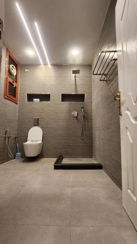 a bathroom with a toilet and a shower at Kemet Apartment luxor in Luxor