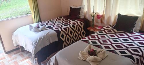een kamer met twee bedden met handdoeken erop bij Miriam'S Quetzals lodge in San Gerardo de Dota