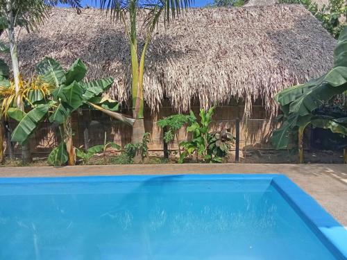 帕洛米诺Hostal Sisio的一栋建筑前有蓝色游泳池的度假村