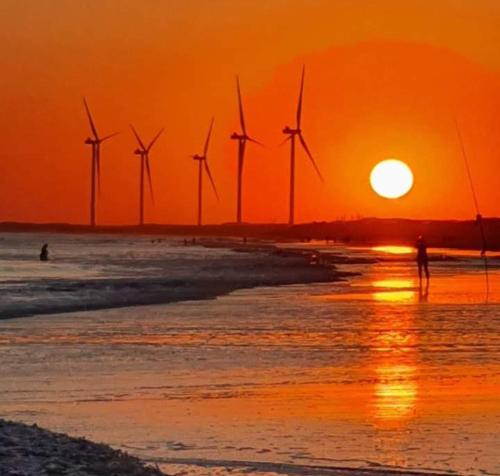 Příroda nedaleko apartmánu