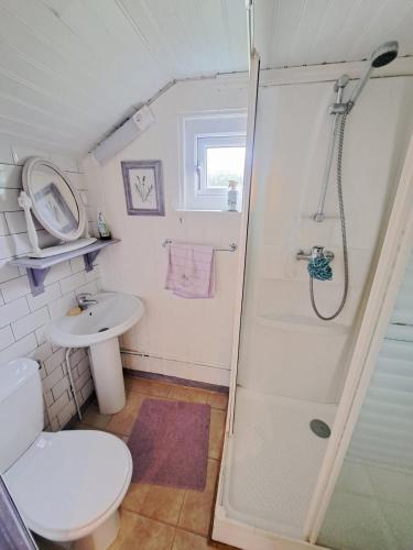 a bathroom with a shower and a toilet and a sink at Le Châlet de l'Authie in Vitz-sur-Authie
