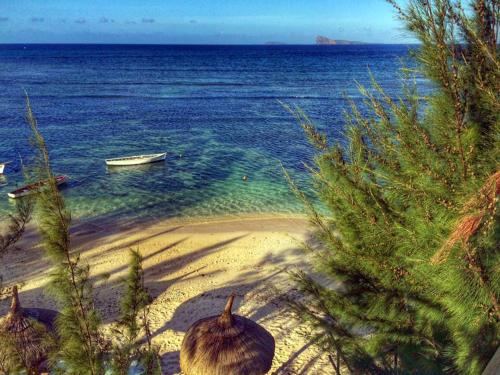 Seapoint Boutique Hotel — Beach