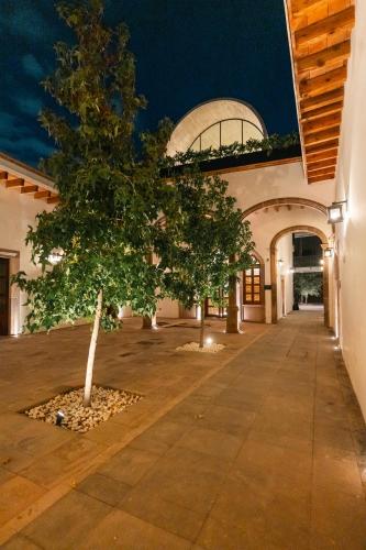 a tree in the courtyard of a building at night at Hotel Agua de Plata in San Luis Potosí