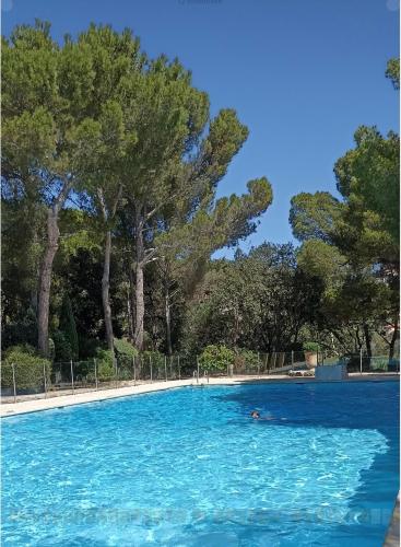 Swimmingpoolen hos eller tæt på Paradis bleu