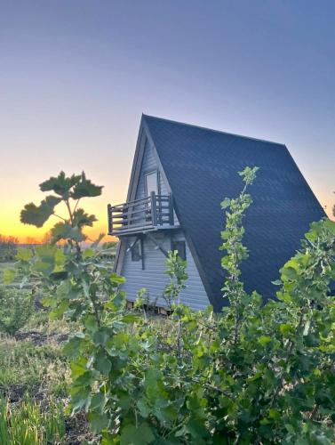 a house with a black roof in a field at Hill House in Slobozia-Măgura