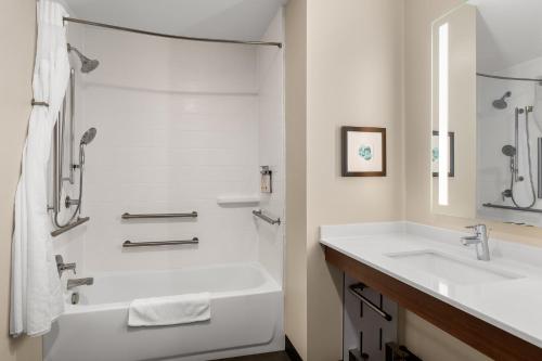 Koupelna v ubytování Holiday Inn & Suites Detroit - Troy by IHG