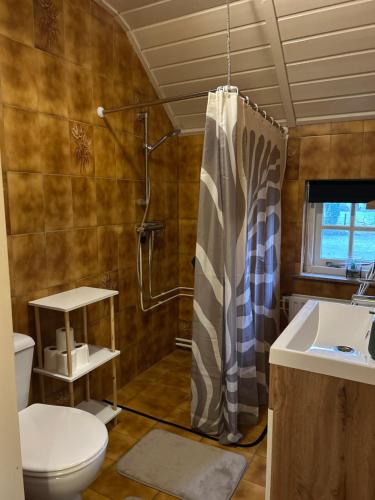 een badkamer met toilet, douche en wastafel bij Huize Kroezzz in Goor