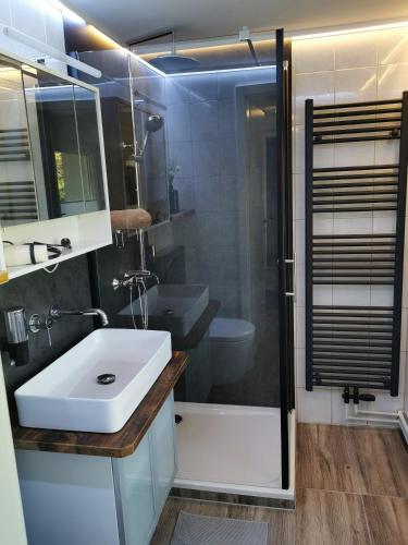 a bathroom with a white sink and a shower at 07 Birkenhain - Hof Wiesengrund in Parchtitz