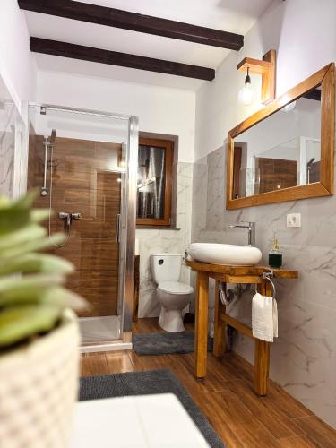 a bathroom with a toilet and a sink and a mirror at Cabana Elena in Borşa