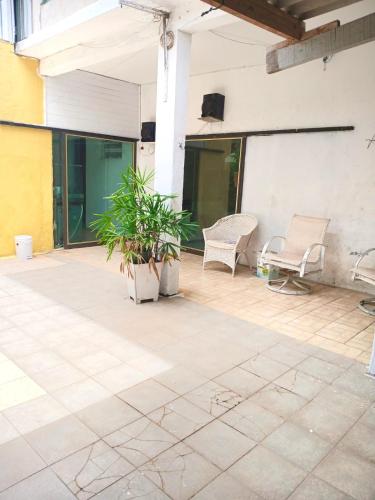 een patio met 2 stoelen en een plant bij Aluguel de Casa de Férias in Santa Branca