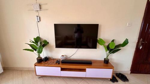 een woonkamer met een tv aan een muur met twee planten bij Pure Haven in Mbale