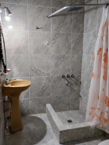 a bathroom with a shower and a sink at Depto TOMY in Mar de Ajó