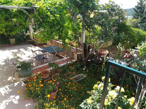 Apartment für 3 Personen ca- 30 m² in Dubrovnik- Dalmatien - Dubrovnik-Neretva by Interhome