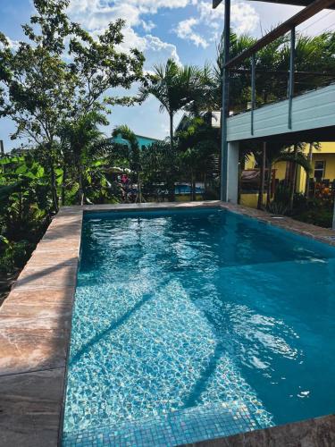 Bassenget på eller i nærheten av Placencia Villas