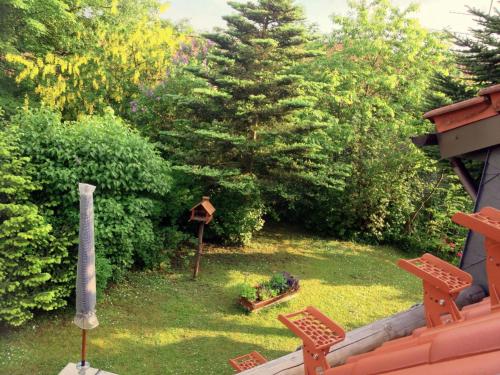 a view of a yard with a tree and benches at Holiday Home Sequoia by Interhome in Hahnenklee-Bockswiese