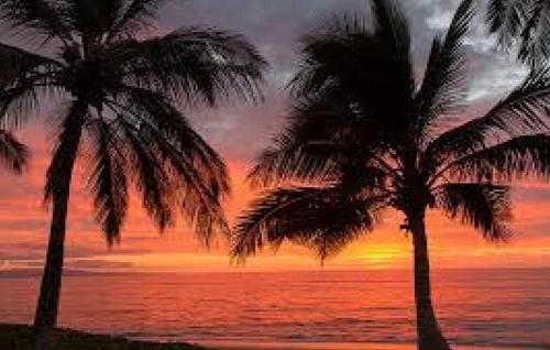 Paesaggio naturale nelle vicinanze dell'appartamento