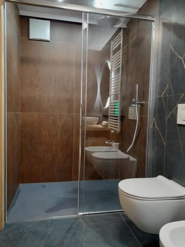 a bathroom with a shower with a toilet and a sink at Casa Zena in Tesero