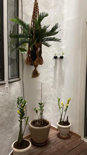 Petit studio haussmannien