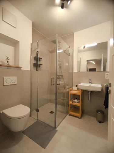 a bathroom with a shower and a toilet and a sink at SeeZeitApartments Whg 27 in Lembruch