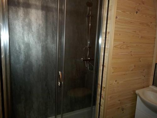 a shower with a glass door in a bathroom at Stag's View in Ballina