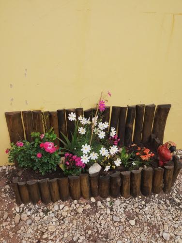 un giardino di fiori di fronte a un muro di Recanto lua serena Brotas a Brotas