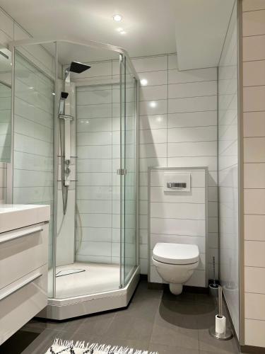 a bathroom with a glass shower and a toilet at Nordic Panorama in Tromsø