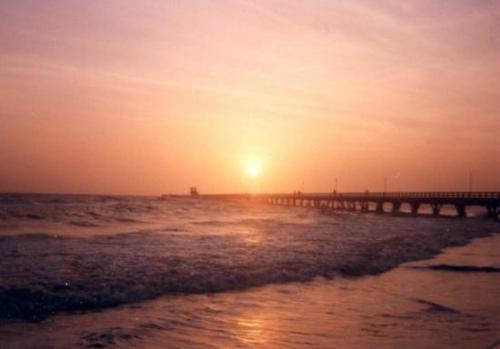 Naturlandskabet i nærheden af lejligheden