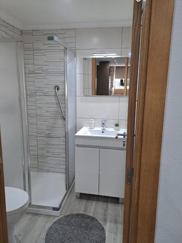 a bathroom with a shower and a sink and a toilet at CriCastelo - Alojamento Local in Trancoso