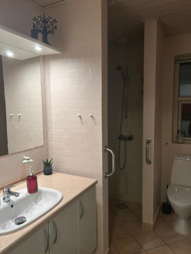 GlesborgにあるBlomsterhavenの洗面台、シャワー、トイレ付きのバスルーム