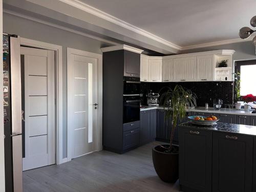 una cucina con mobili bianchi e una pianta in vaso di Valmaris a Râmnicu Vâlcea