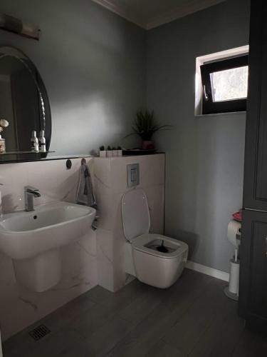 un bagno con lavandino, WC e specchio di Valmaris a Râmnicu Vâlcea