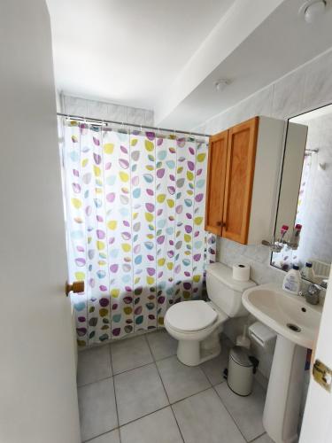 Koupelna v ubytování Espectacular departamento en Costanera de Villarrica