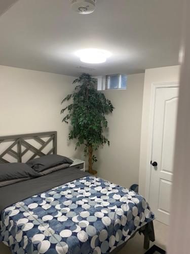 ein Schlafzimmer mit einem Bett und einer Topfpflanze in der Unterkunft Akhtar's Residence in Mississauga