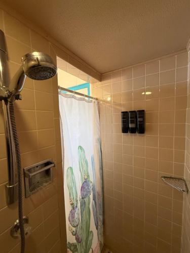 a shower in a bathroom with a shower curtain at Arrowhead Motel and RV Park in Ruidoso