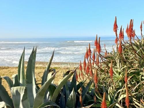 Φυσικό τοπίο κοντά σε αυτή η παραθεριστική κατοικία