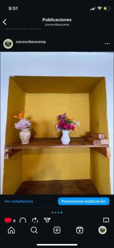 Twee vazen met bloemen staan op een plank. bij Coco's vibes in Ollantaytambo