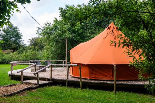 Zahrada ubytování AMANI - Aap