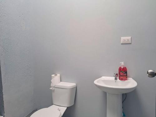 Et badeværelse på Airport Nest Costa Rica Hotel