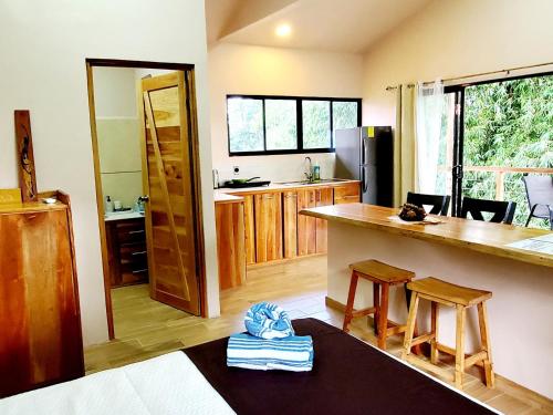 Billede fra billedgalleriet på Nature Observatory Studio with Private Pool i Chachagua