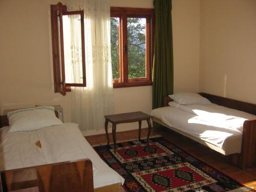 Un pat sau paturi într-o cameră la Guest house Pribojska Banja