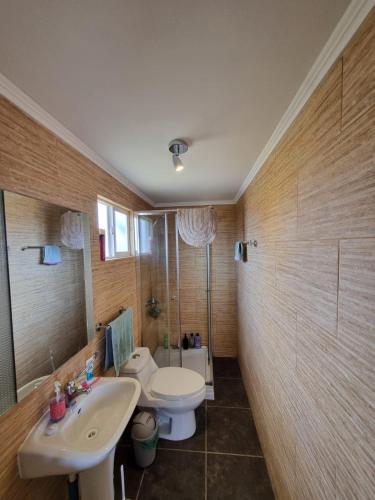 ein Badezimmer mit weißer Toilette und Waschbecken in der Unterkunft Cabaña 2 a 4 personas in Carahuo