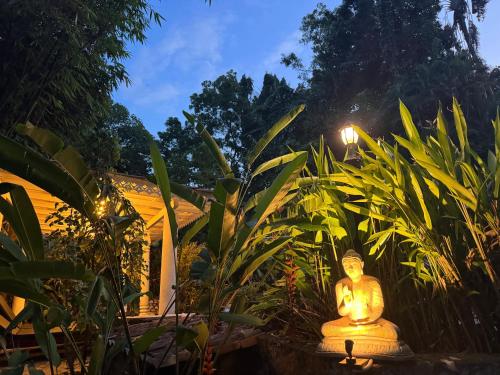 En have udenfor Whispering House