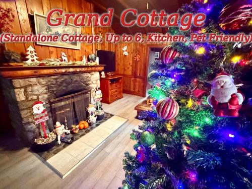 een kerstboom in een woonkamer met een open haard bij Richca Chalets Resort in Hope