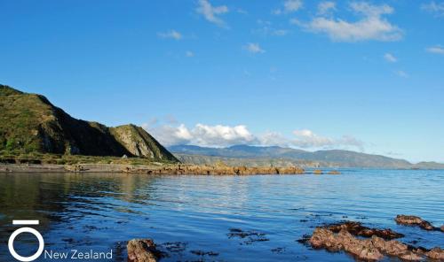 a view of the water with mountains in the background at Breaker Bay Paradise in Wellington