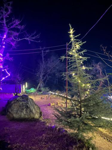 Foto dalla galleria di Royal Mount a Kasol