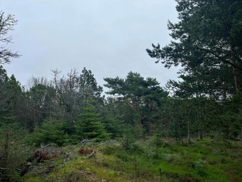 Příroda nedaleko prázdninového domu